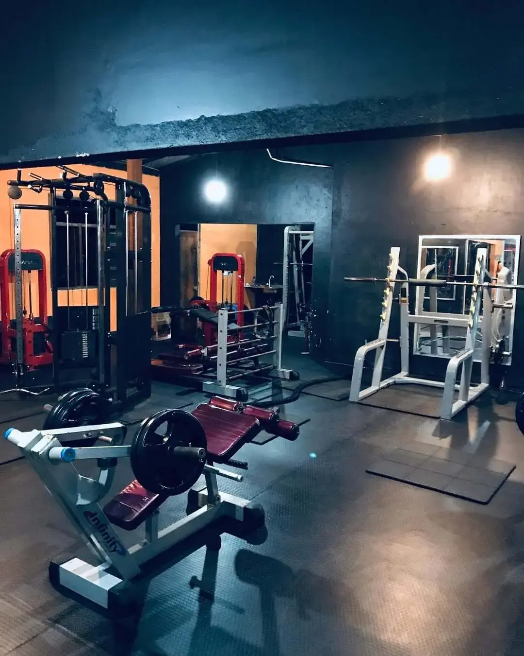 The gym floor in cool blue light with racks, a plate-loaded machine and benches